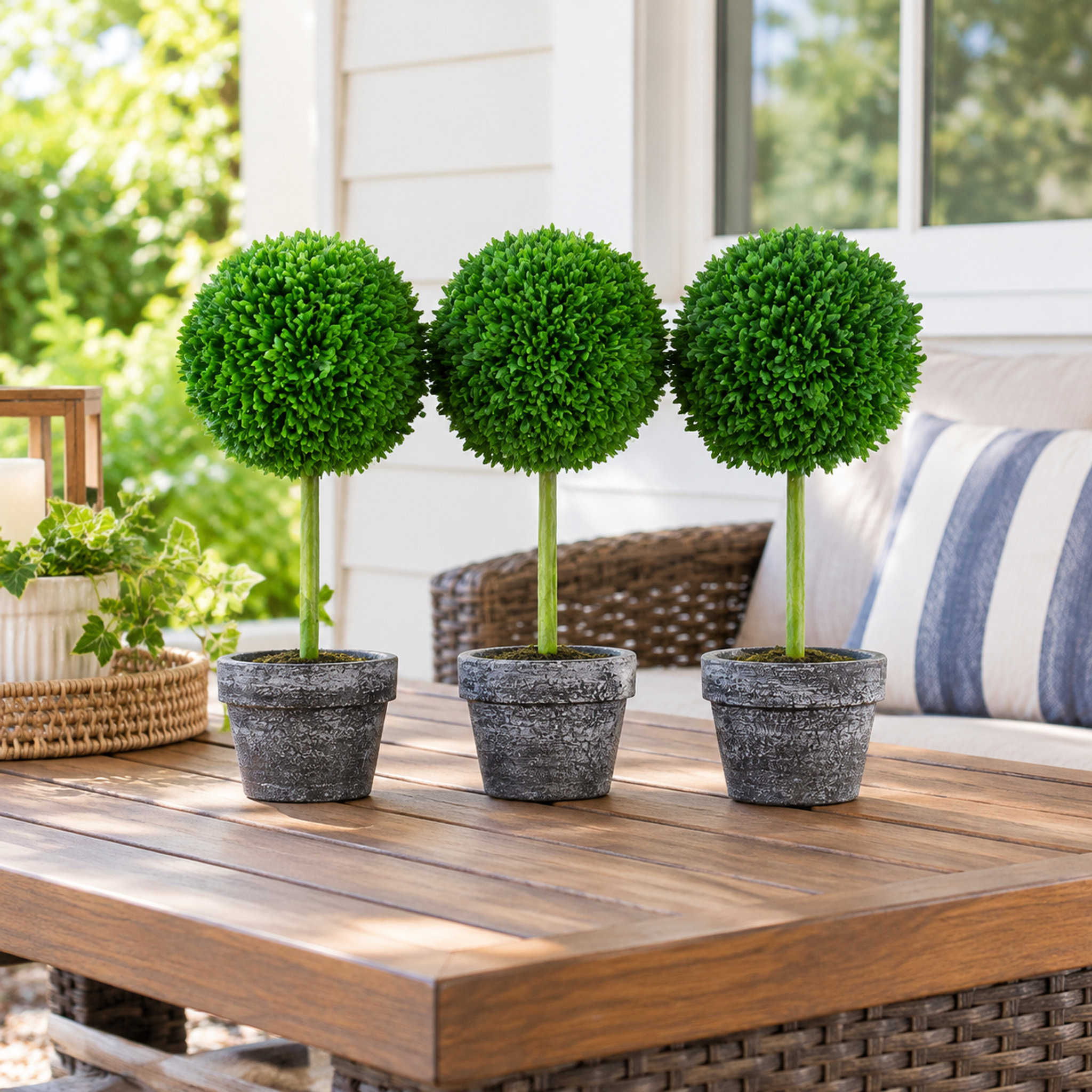 Mini Topiary Wayfair Canada - Online Home Store for Furniture, Decor, Outdoors & More