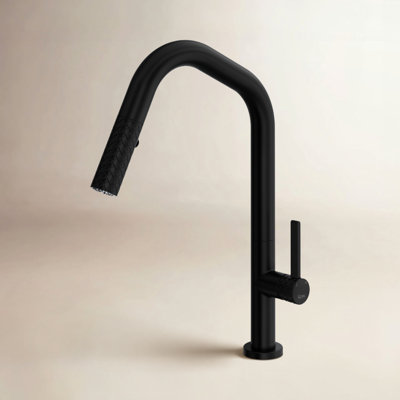 AllModern Ignacio Pull Out Kitchen Faucet