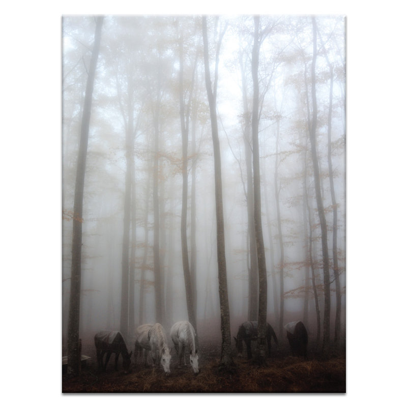 Print on Canvas, 51cm H x 41cm W, Wrapped Canvas