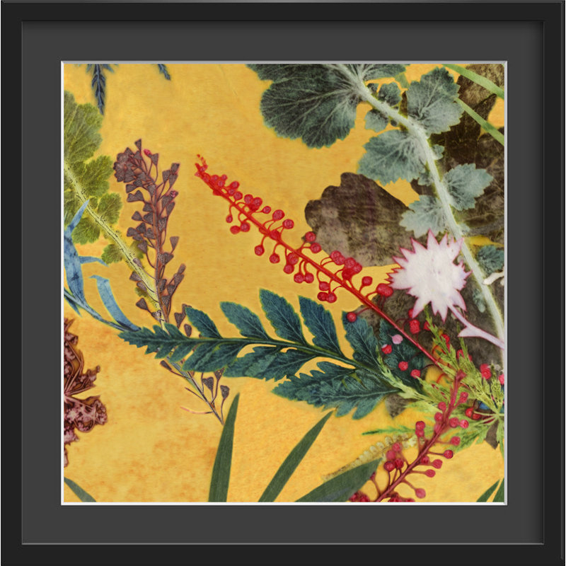 Gillian Arnold - Single Picture Frame Print
