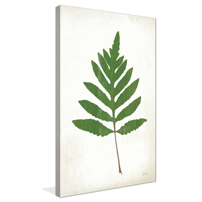 «Chalkboard Fern Green I» par Sue Schlabach - impression, Toile tendue, H 48 po x l 28 po x P 1,5 po