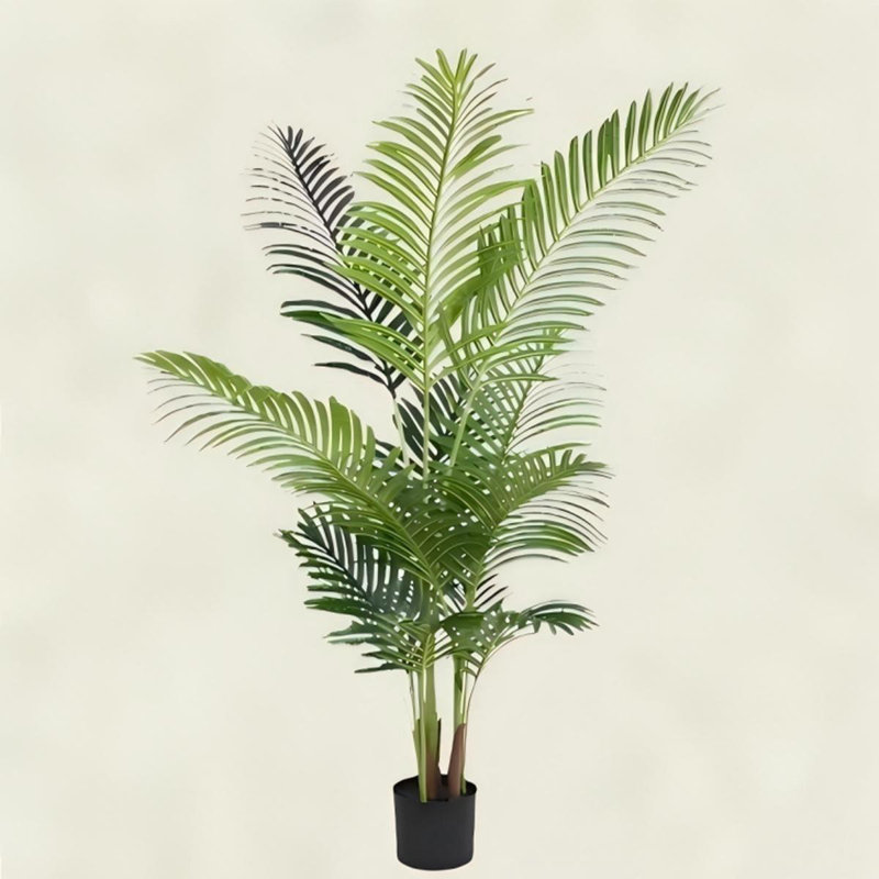 Palmier sagoutier Forest Forest pour bureau, salon, patio type B, H 62,99 po x l 19,69 po x P 19,69 po