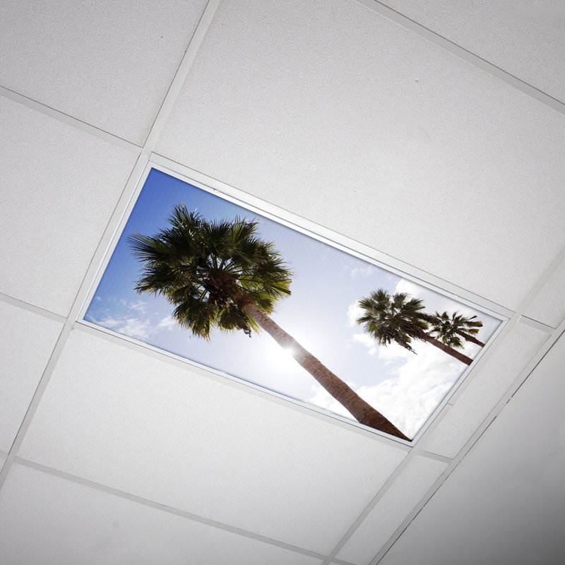 Couvre-lampes fluorescents Tree Classroom pour plafonniers - pour luminaire 2 x 4 - par Octo Lights