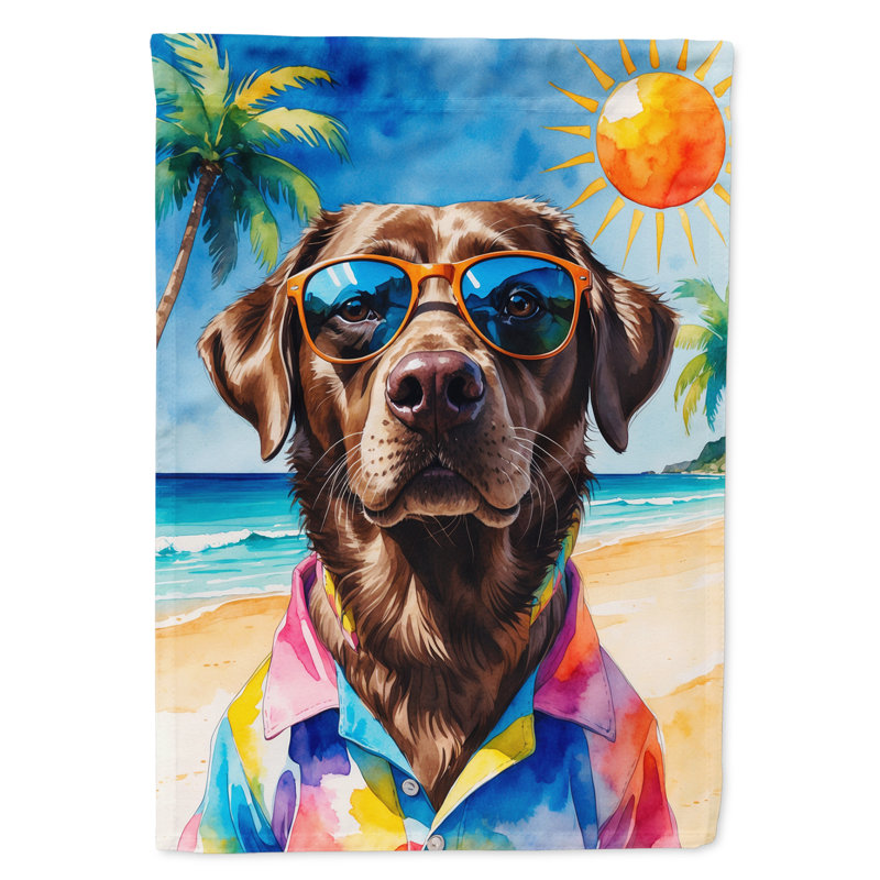 Drapeau de la maison esquimau américain, Chocolate Labrador Retriever