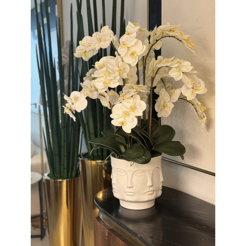 Matte Visage Vase With White Orchids