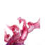 Crystal Phoenix
