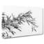 Leaves Of A Bamboo Plant - Wrapped Canvas-56629697