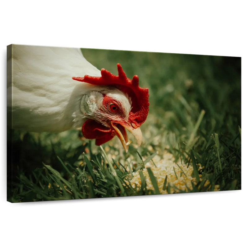 Brampt Chicken Eating Corn, 8" H x 12" W