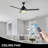 Kylier 52'' Ceiling Fan with LED Lights-811043812