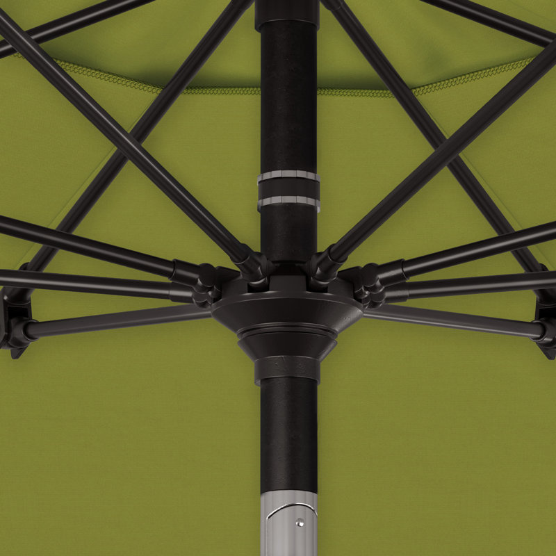 Parasol Brailyn 90, Performance kiwi
