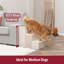 Escalier pour animaux en velours pliable à 3 marches avec rangement Trixie, beige-327705300-327705303