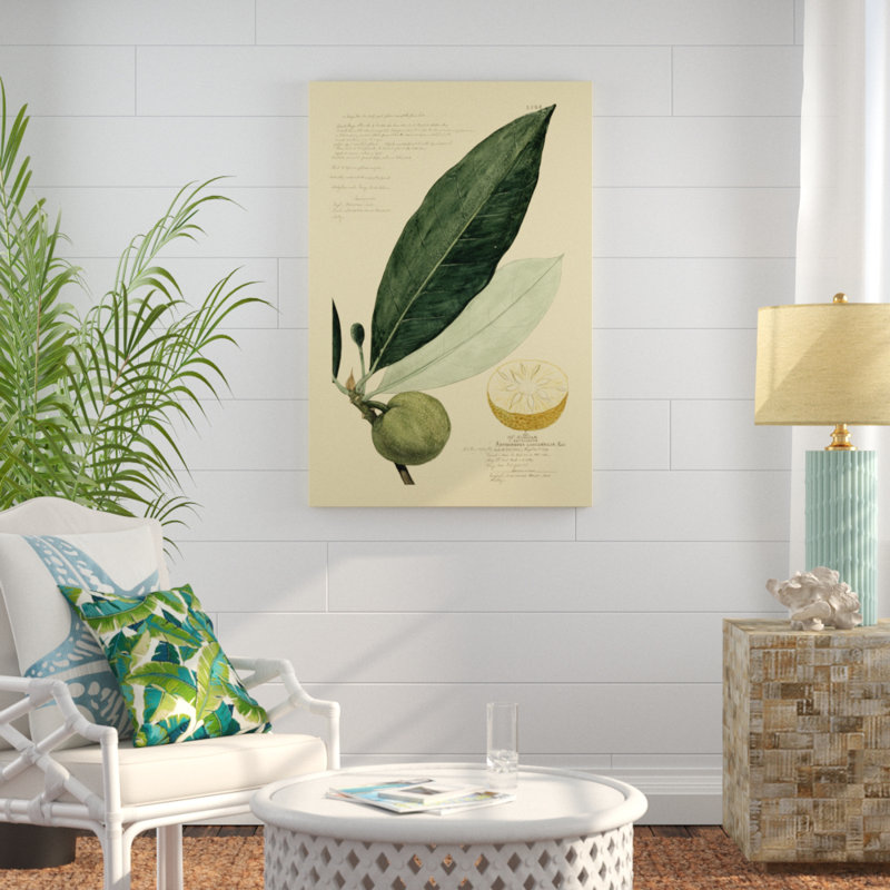 Descubes Tropical Fruits III by A. Descubes - Painting on Canvas, 122cm H x 81cm W, Wrapped Canvas