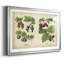 «Kitchen Fruits III», reproduction d'art encadrée-442865229-442865230