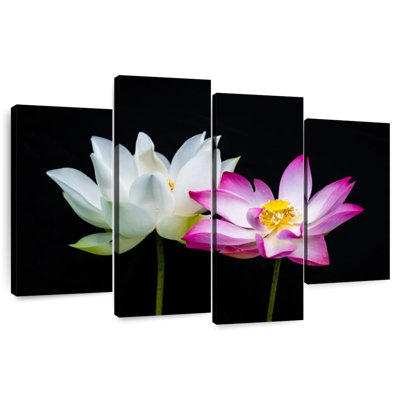 Fleurs de lotus roses et blanches Harnek