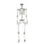 Halloween Figurines & Collectibles-927828464