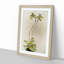 Magnolia Flowers Illustration Tab. 23 by Frederick Sander - Picture Frame Painting Print-55759159-55759162
