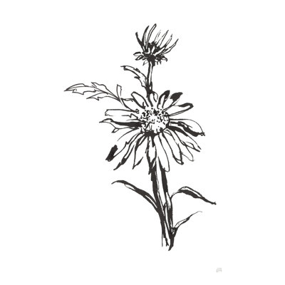 Line Echinacea I by Chris Paschke - Drawing Print