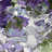 " Dynamic IV " by Mimi Garcia-73091149-73091150-73091151