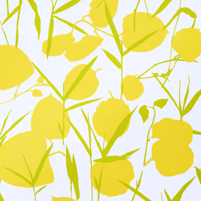 Joan Wallpaper