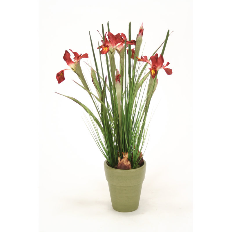 24 " Polysilk Iris Arrangement