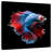 Brampt Blue And Red Betta Fish-109393511