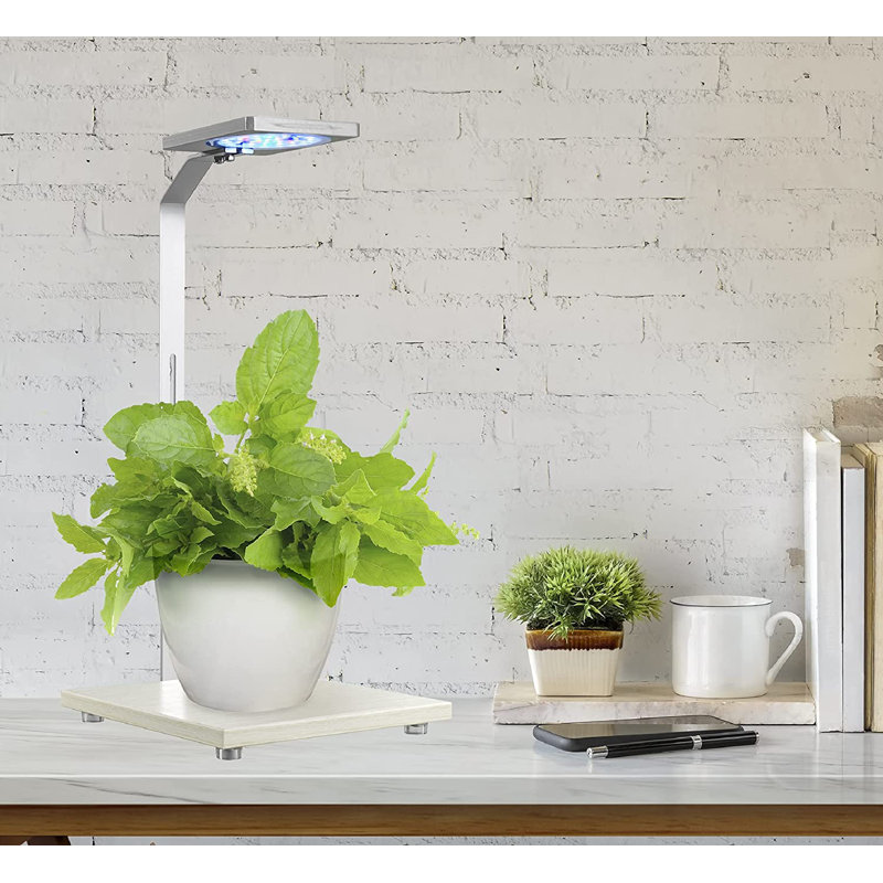 Eco-grow Plant LED Light and Stand 