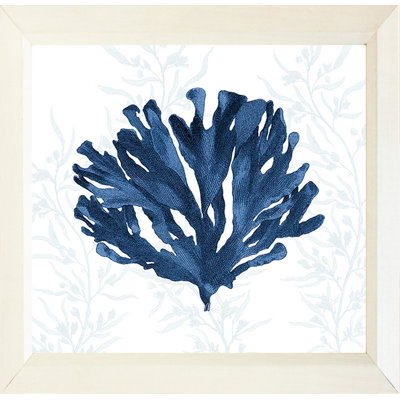 Décoration marine corail II - impression encadrée