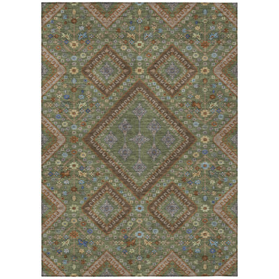 Machine Washable Indoor/Outdoor Chantille ACN2459 Casual Rug