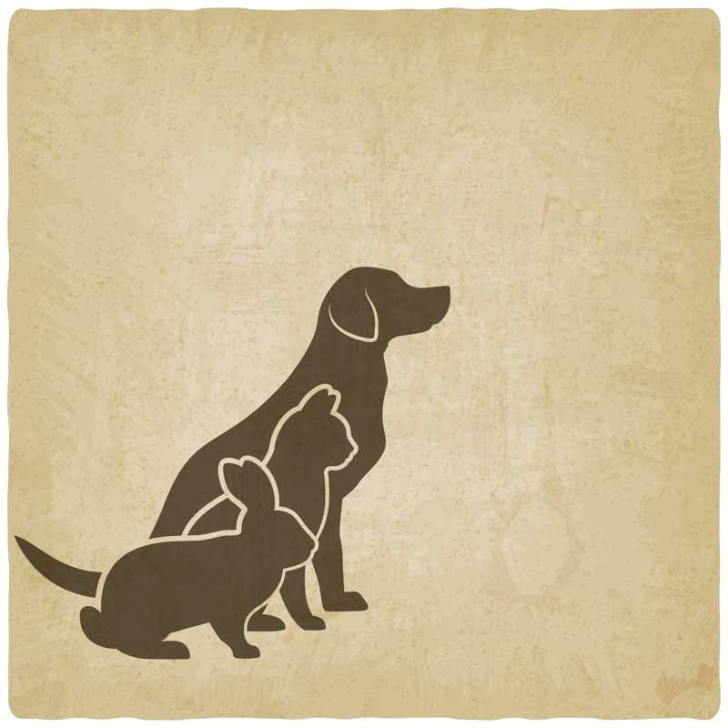 Pets Silhouettes - Wrapped Canvas Print, 30cm H x 30cm W x 3.8cm D