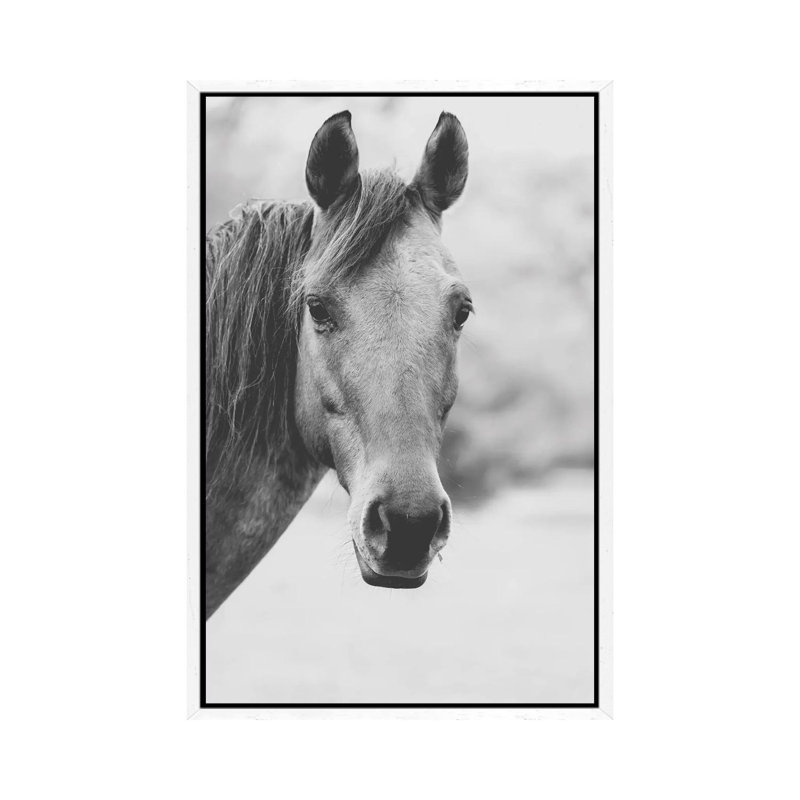 Wild Heart 1 Piece Wall Art on Canvas, 66.04cm H x 45.72cm W x 3.81cm D, White Framed