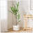 ARTIFICIAL DISC LEAF TREE-312654924