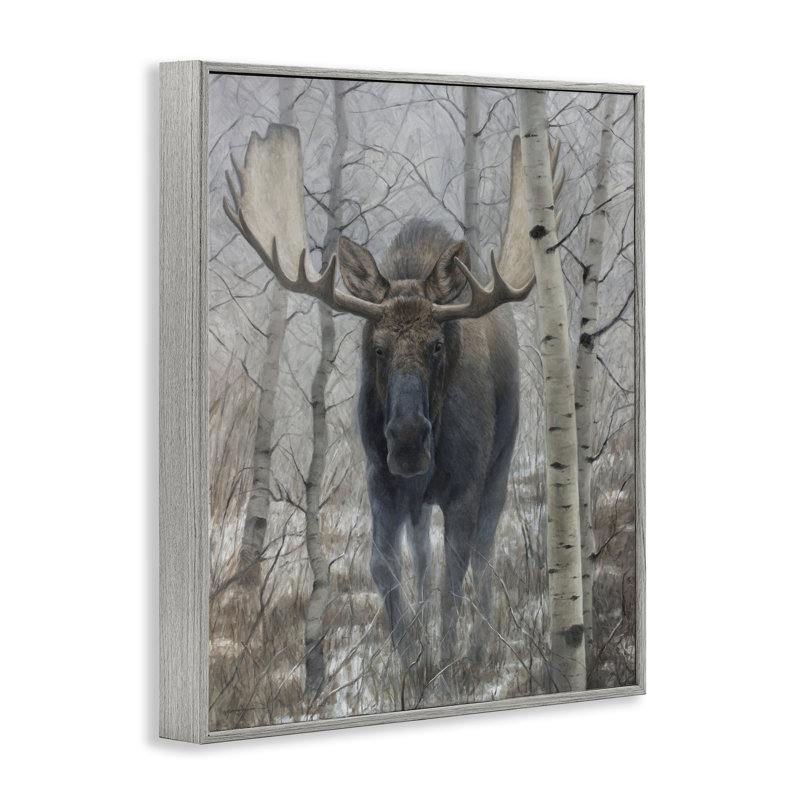 «Moose in Winter Birch Forest», dessin de James Corwin, H 14 po x l 11 po, Estampe numérique Farmhouse