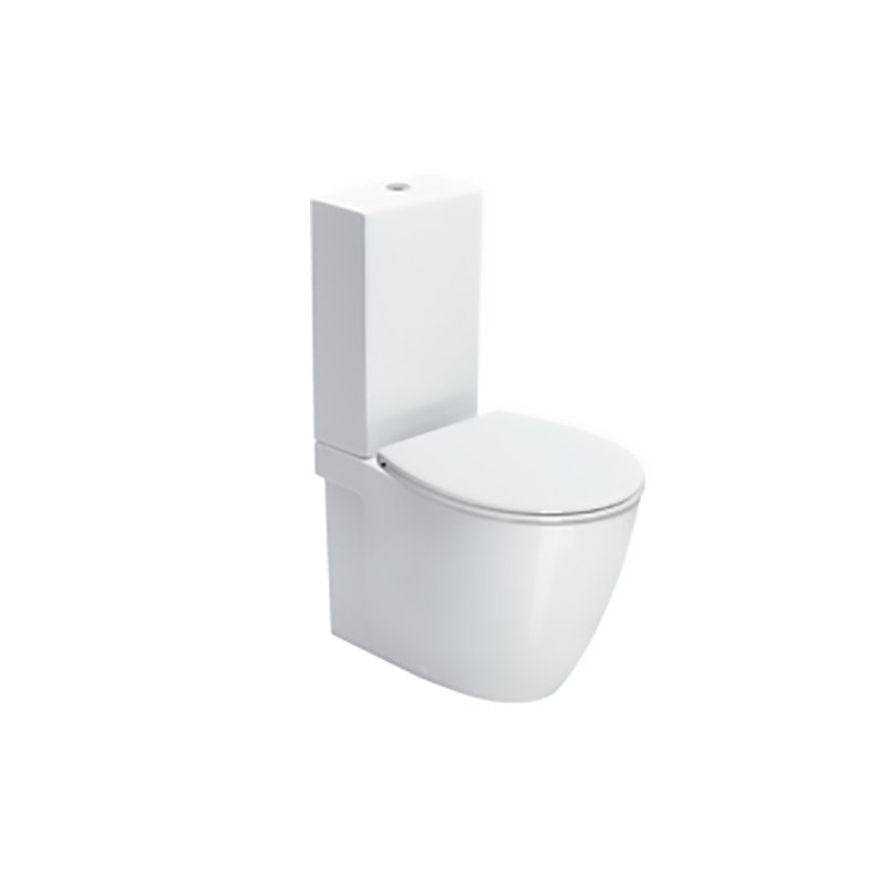 Toilette allongée monopièce à double chasse deux pièces (siège inclus)