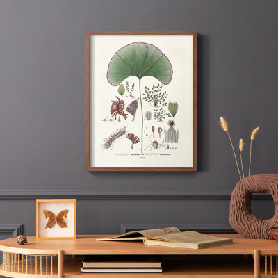 «Botanical Society Ferns III», reproduction encadrée - bois massif