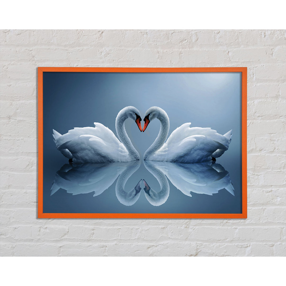 Antonien Heart Shaped Swans - Einzelne Bilderrahmen Kunstdrucke