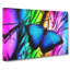 Butterfly Vol.6 - Wrapped Canvas-61848579