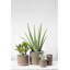Syrah 9'' Handmade Ceramic Table Vase