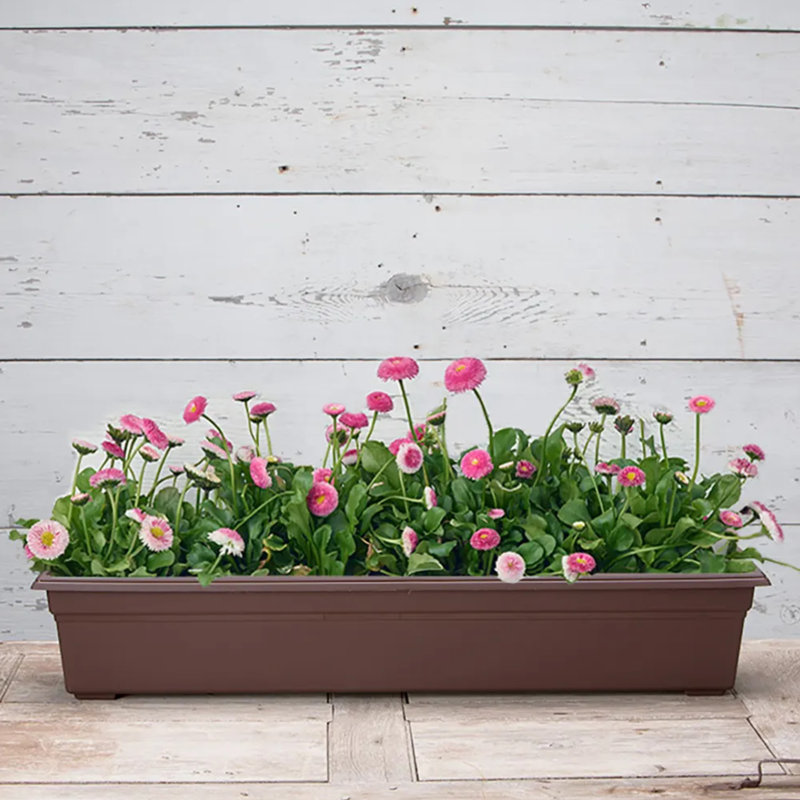 Nohely Planter Box