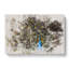 Peacock Vol.1 - Wrapped Canvas-61877354