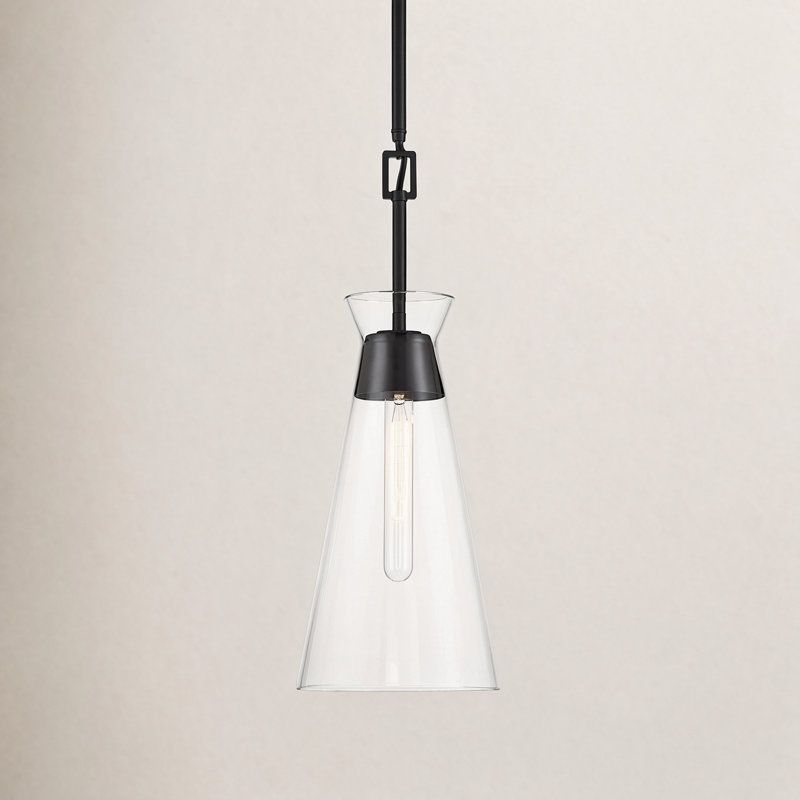Lakewood 1-Light Pendant in Matte Black, Matte Black
