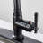 FURUISI Pull Down Kitchen Faucet-100865072