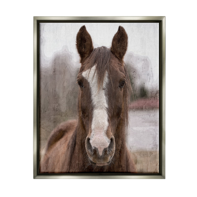 Portrait de cheval Colt, Cadre flottant gris lustré, H 21 po x l 17 po x P 1,7 po