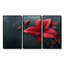 Gorecki - Ensemble de décoration murale plantes-107195849-107195841