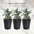 Set of 3 Tall Planters-1418077970