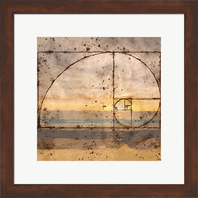 " Fibonacci Shell " by Marta Wiley