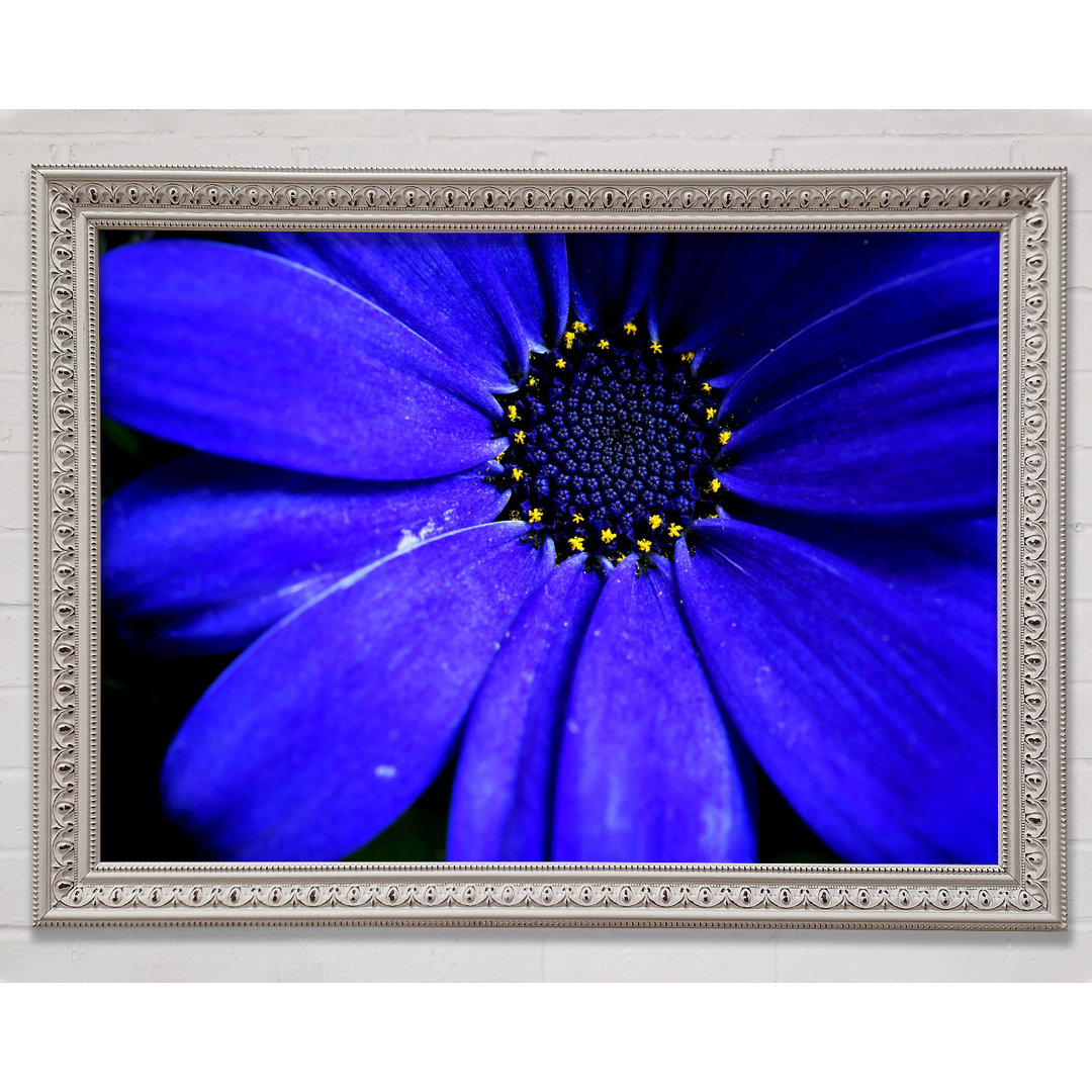 Electric Blue Petals - Druck