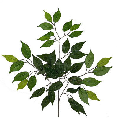 Ficus, branches et plantes artificielles