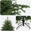 Christmas Tree-605273988
