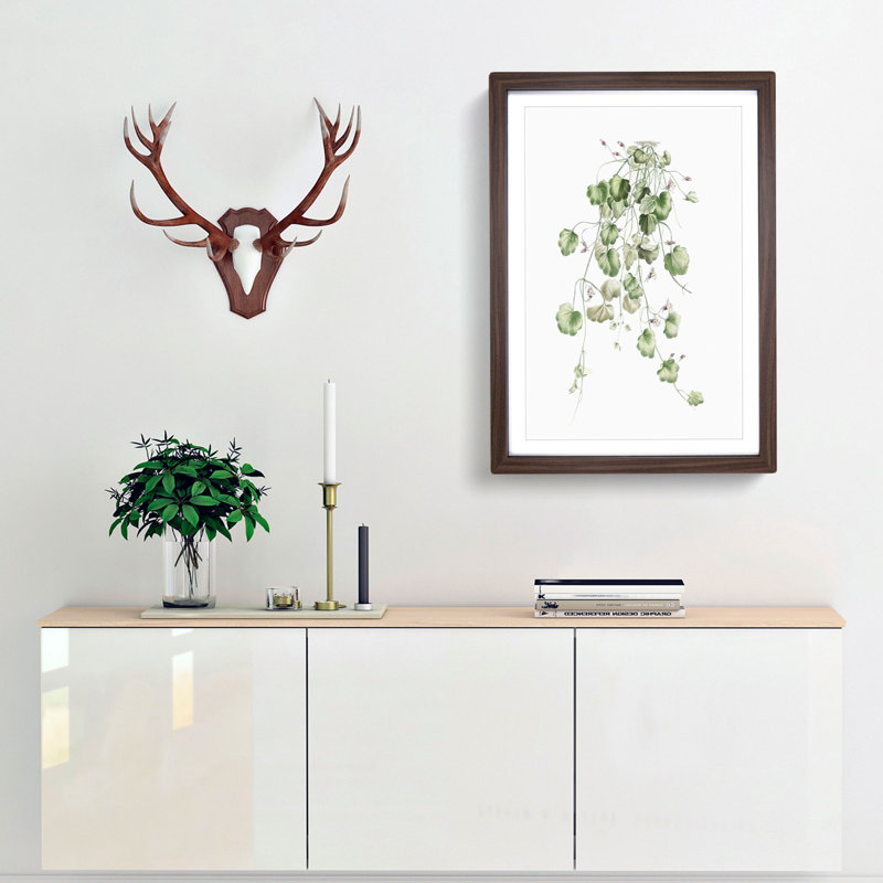 Kenilworth Ivy Flowers by Pierre-Joseph Redoute - Picture Frame Graphic Art Print, 36cm H x 27cm W x 2cm D, Walnut Framed