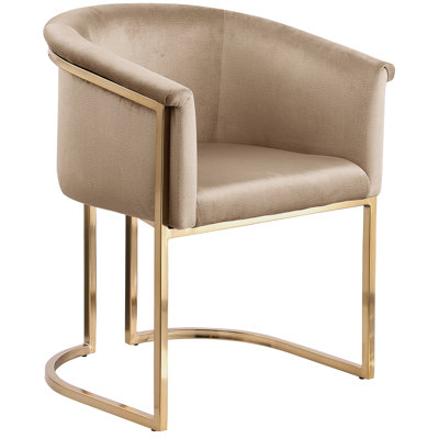 Izakeel Velvet Metal Arm Chair by Everly Quinn